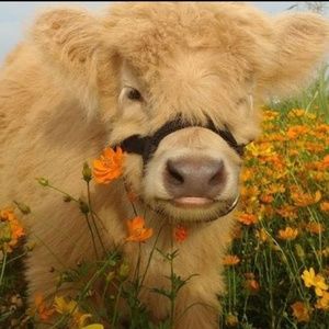 Meet your Posher, Mikeayla